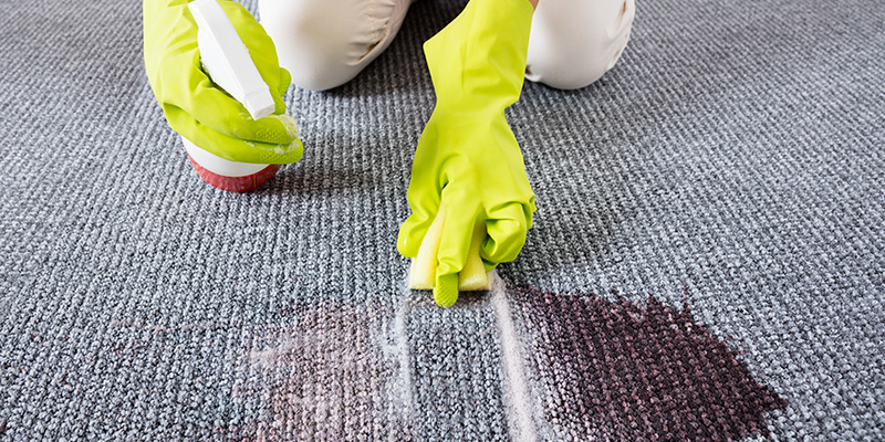 Cómo limpiar alfombras
